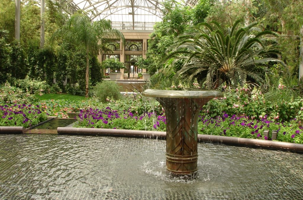 A Garden Designed for Discovery