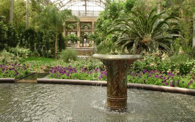 A Garden Designed for Discovery