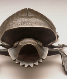 Scarab Beetle