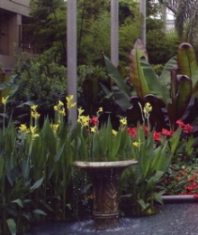 Longwood Garden - Fountains