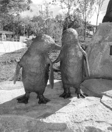 Baltimore Zoo Penguins