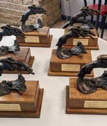 National Steeplechase Award